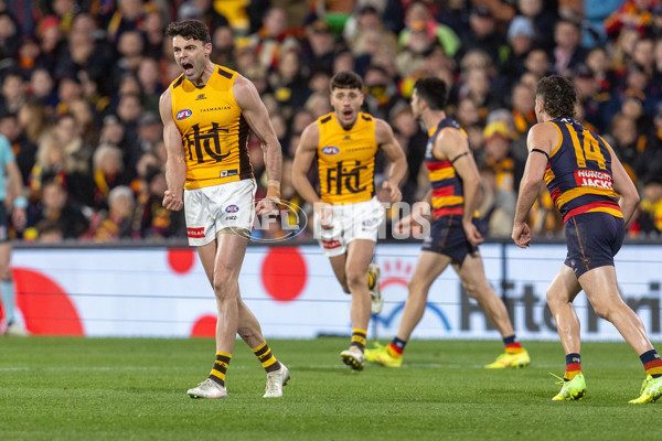 AFL 2025 Round 21 - Adelaide v Hawthorn - A-60905502
