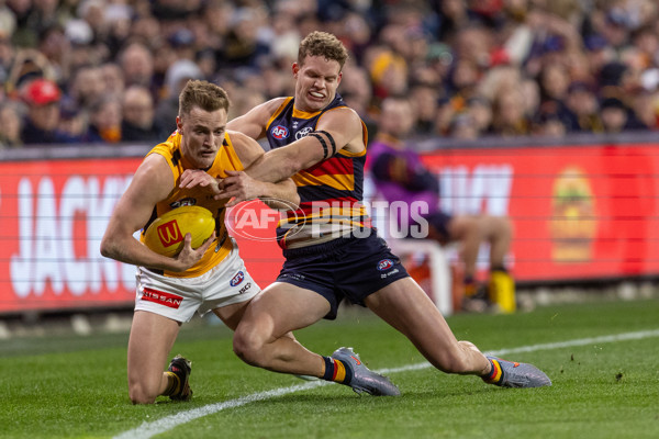 AFL 2025 Round 21 - Adelaide v Hawthorn - A-60905503