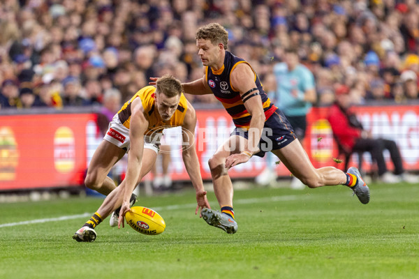 AFL 2025 Round 21 - Adelaide v Hawthorn - A-60905510