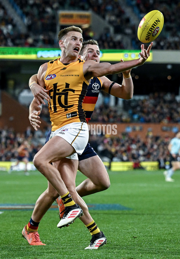 AFL 2025 Round 21 - Adelaide v Hawthorn - A-60912825