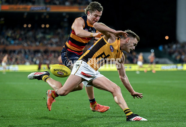 AFL 2025 Round 21 - Adelaide v Hawthorn - A-60912826