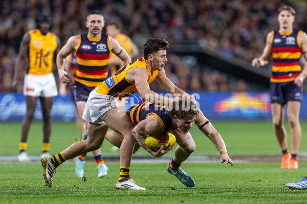 AFL 2025 Round 21 - Adelaide v Hawthorn - A-60912887