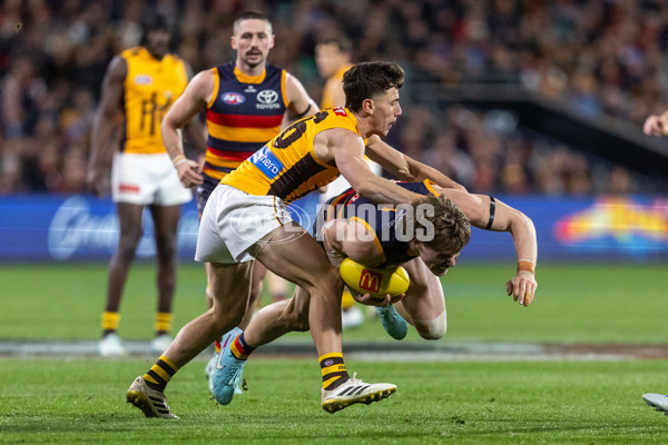 AFL 2025 Round 21 - Adelaide v Hawthorn - A-60912890