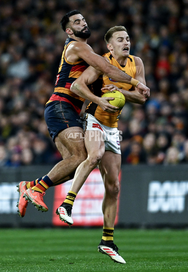 AFL 2025 Round 21 - Adelaide v Hawthorn - A-60915221