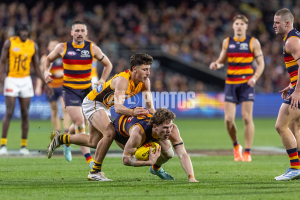 AFL 2025 Round 21 - Adelaide v Hawthorn - A-60915269