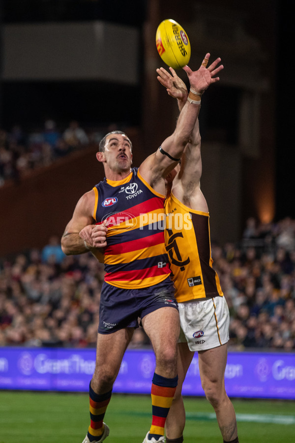 AFL 2025 Round 21 - Adelaide v Hawthorn - A-60923741