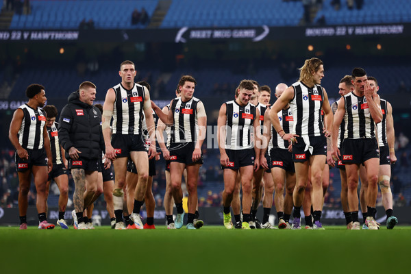AFL 2025 Round 21 - Collingwood v Brisbane - A-61021127