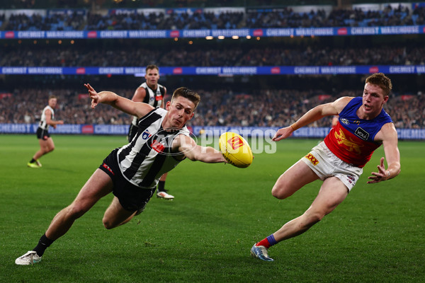 AFL 2025 Round 21 - Collingwood v Brisbane - A-61021672