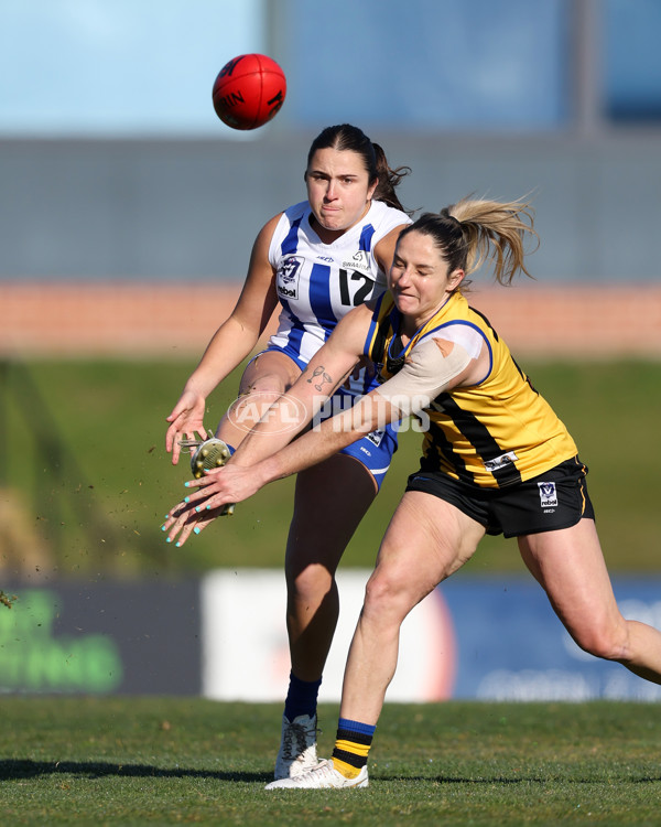 VFLW 2025 Round 14 - Sandringam v North Melbourne - A-61023961