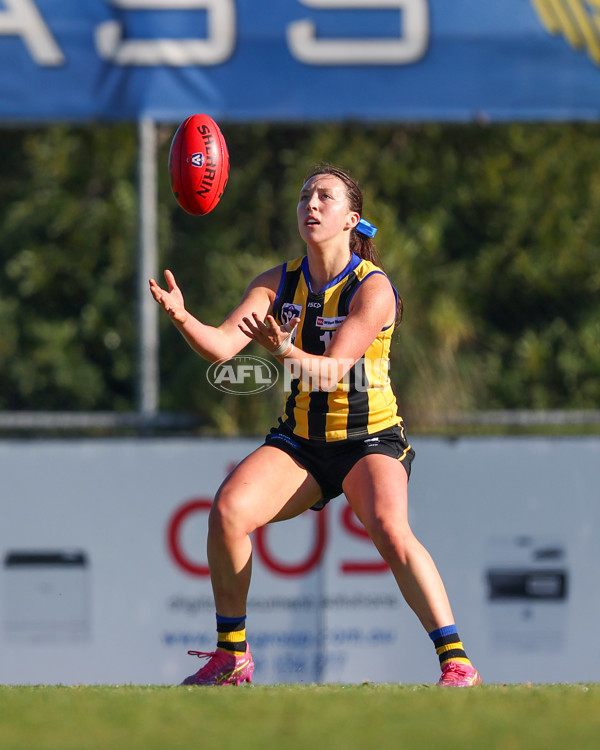 VFLW 2025 Round 14 - Sandringam v North Melbourne - A-61024444