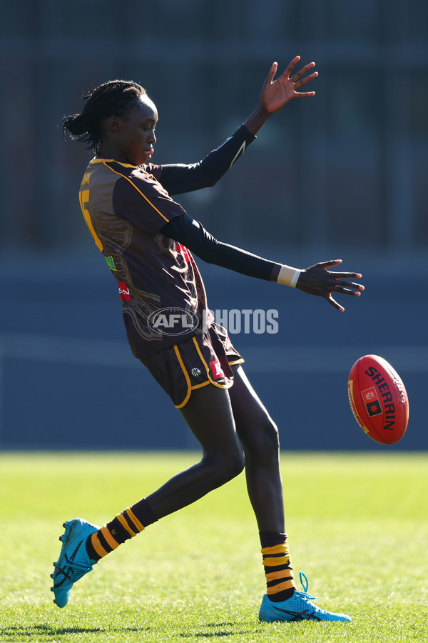 AFLW 2025 Practice Match - Richmond v Hawthorn - A-61026544