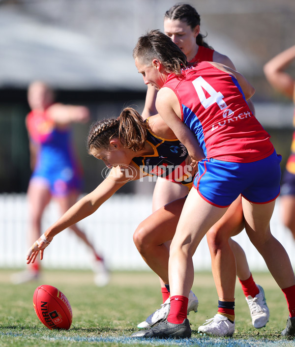 AFLW 2025 Practice Match - Adelaide v Melbourne - A-61026552