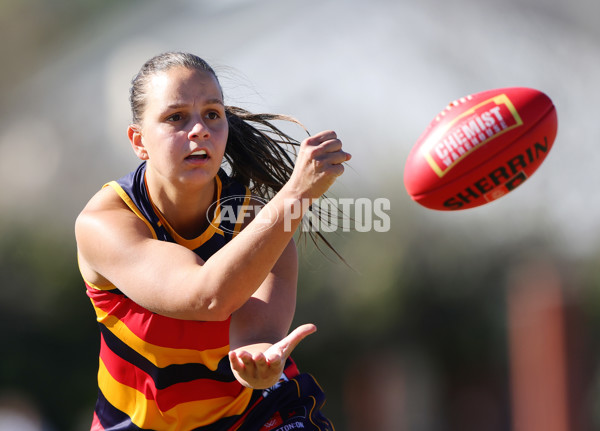 AFLW 2025 Practice Match - Adelaide v Melbourne - A-61027368