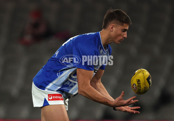 AFL 2025 Round 21 - St Kilda v North Melbourne - A-61027393