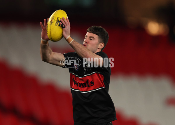AFL 2025 Round 21 - St Kilda v North Melbourne - A-61027394