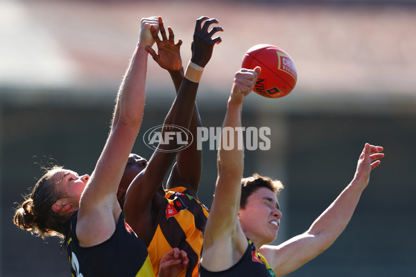 AFLW 2025 Practice Match - Richmond v Hawthorn - A-61027406