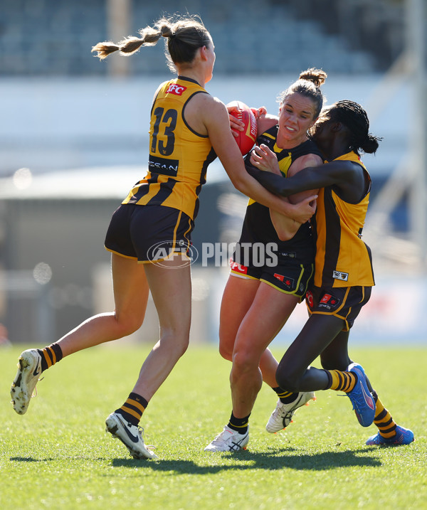 AFLW 2025 Practice Match - Richmond v Hawthorn - A-61029061