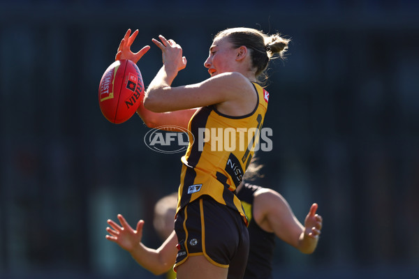 AFLW 2025 Practice Match - Richmond v Hawthorn - A-61029147