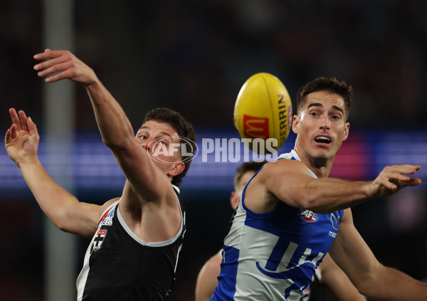 AFL 2025 Round 21 - St Kilda v North Melbourne - A-61031892