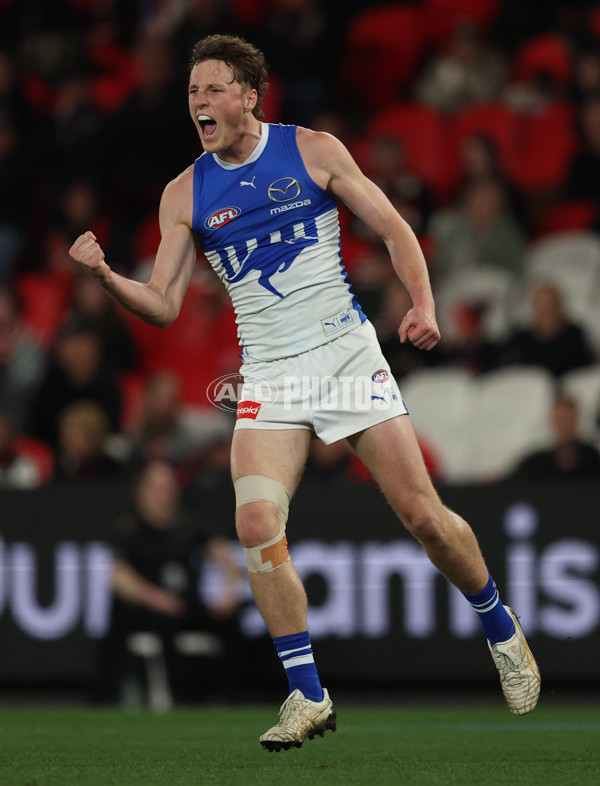 AFL 2025 Round 21 - St Kilda v North Melbourne - A-61031943