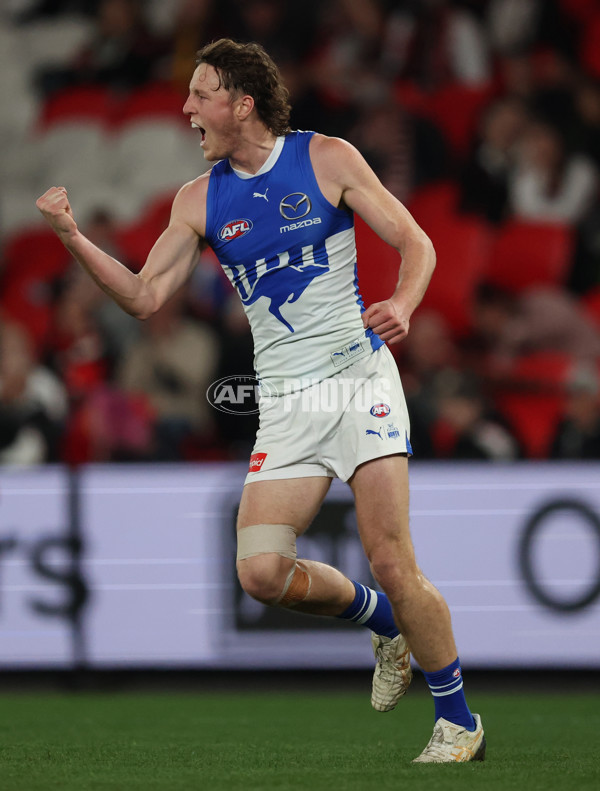 AFL 2025 Round 21 - St Kilda v North Melbourne - A-61031945