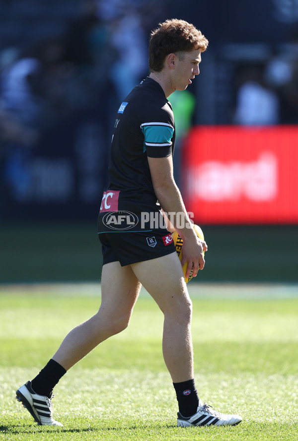 AFL 2025 Round 21 - Geelong v Port Adelaide - A-61031948