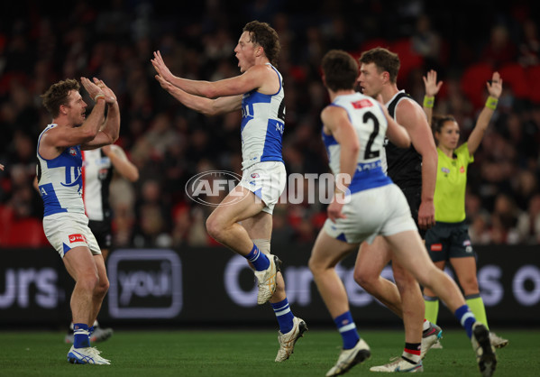 AFL 2025 Round 21 - St Kilda v North Melbourne - A-61031957