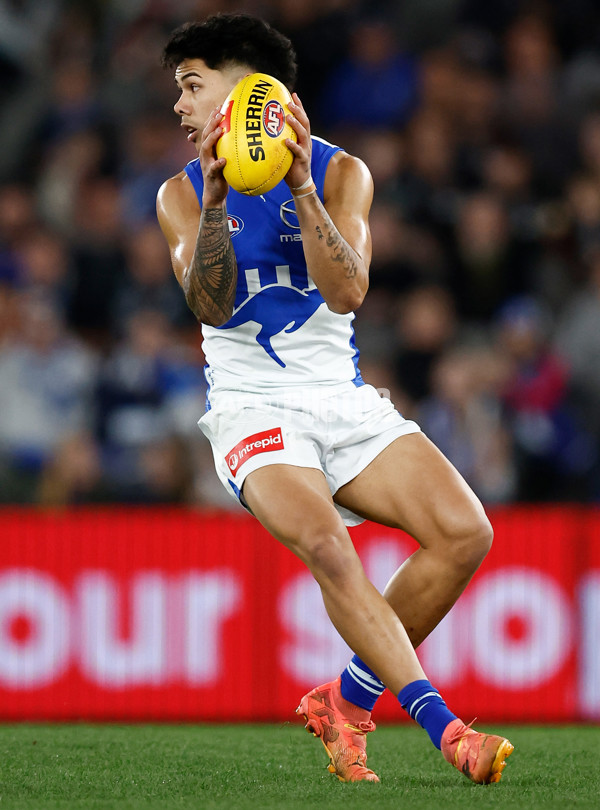 AFL 2025 Round 21 - St Kilda v North Melbourne - A-61032808