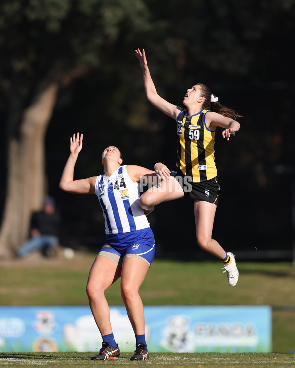 VFLW 2025 Round 14 - Sandringam v North Melbourne - A-61034511