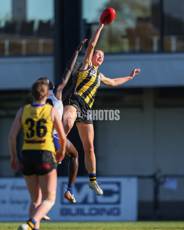 VFLW 2025 Round 14 - Sandringam v North Melbourne - A-61034517