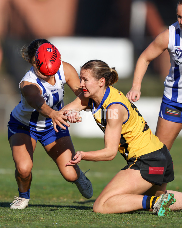 VFLW 2025 Round 14 - Sandringam v North Melbourne - A-61034521