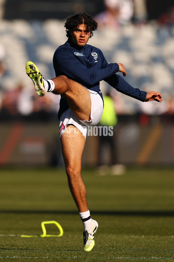 AFL 2025 Round 21 - Geelong v Port Adelaide - A-61034543
