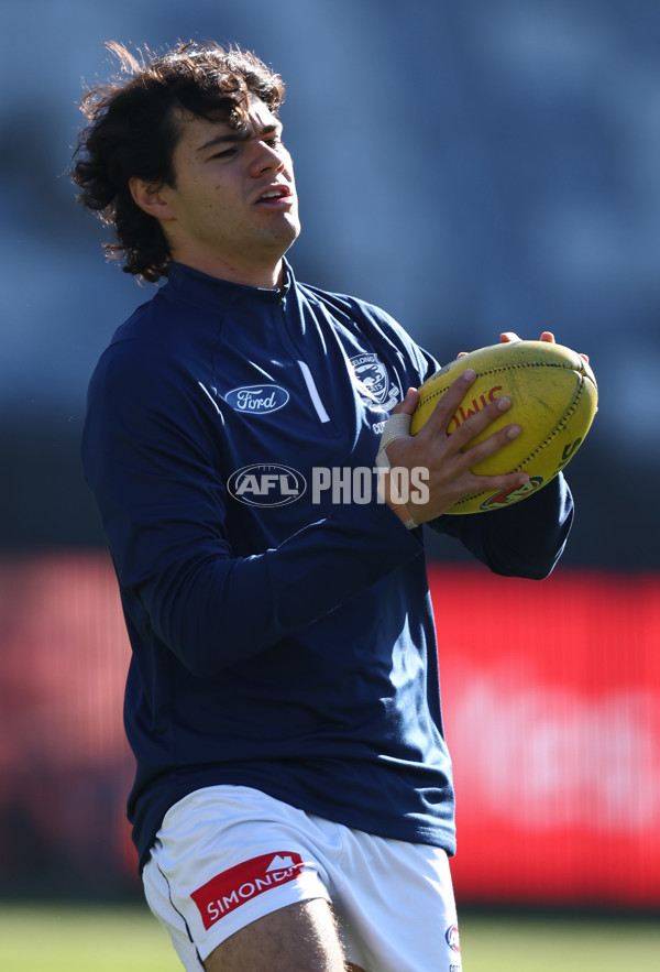 AFL 2025 Round 21 - Geelong v Port Adelaide - A-61034553
