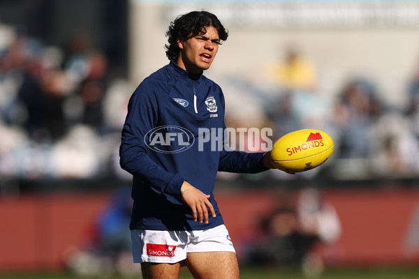 AFL 2025 Round 21 - Geelong v Port Adelaide - A-61035313