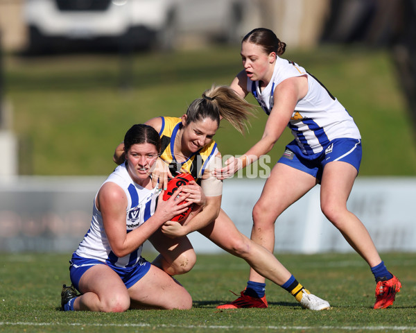 VFLW 2025 Round 14 - Sandringam v North Melbourne - A-61038141