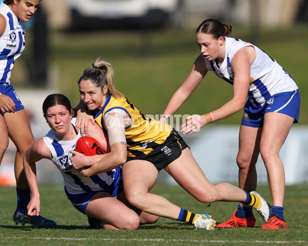VFLW 2025 Round 14 - Sandringam v North Melbourne - A-61038144