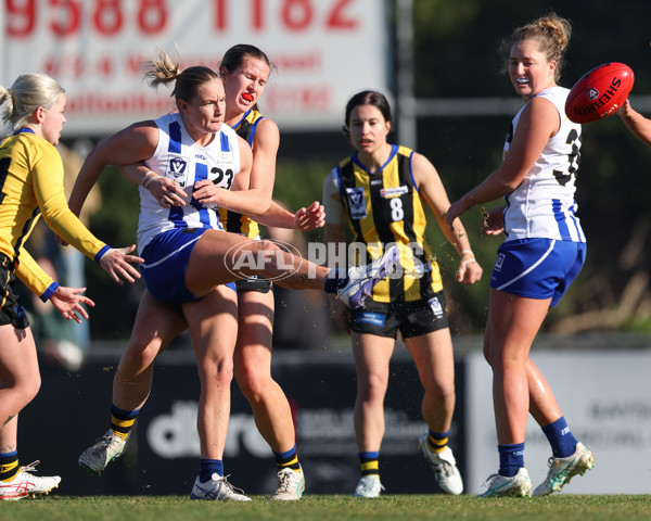 VFLW 2025 Round 14 - Sandringam v North Melbourne - A-61038145