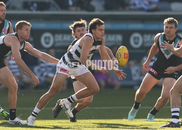 AFL 2025 Round 21 - Geelong v Port Adelaide - A-61038212