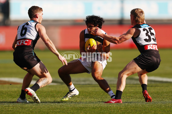 AFL 2025 Round 21 - Geelong v Port Adelaide - A-61039527