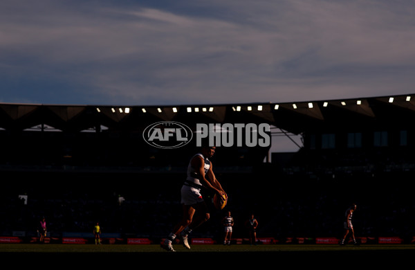 AFL 2025 Round 21 - Geelong v Port Adelaide - A-61040934