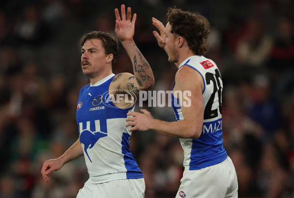 AFL 2025 Round 21 - St Kilda v North Melbourne - A-61042178