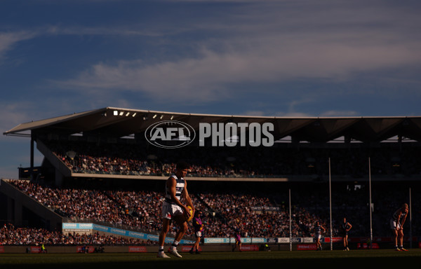 AFL 2025 Round 21 - Geelong v Port Adelaide - A-61042195