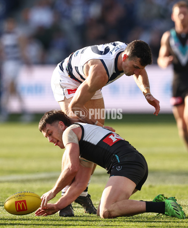 AFL 2025 Round 21 - Geelong v Port Adelaide - A-61042205