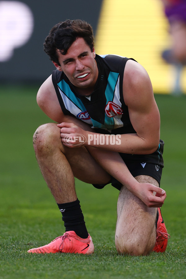 AFL 2025 Round 21 - Geelong v Port Adelaide - A-61042227