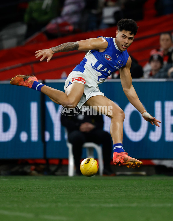 AFL 2025 Round 21 - St Kilda v North Melbourne - A-61042253