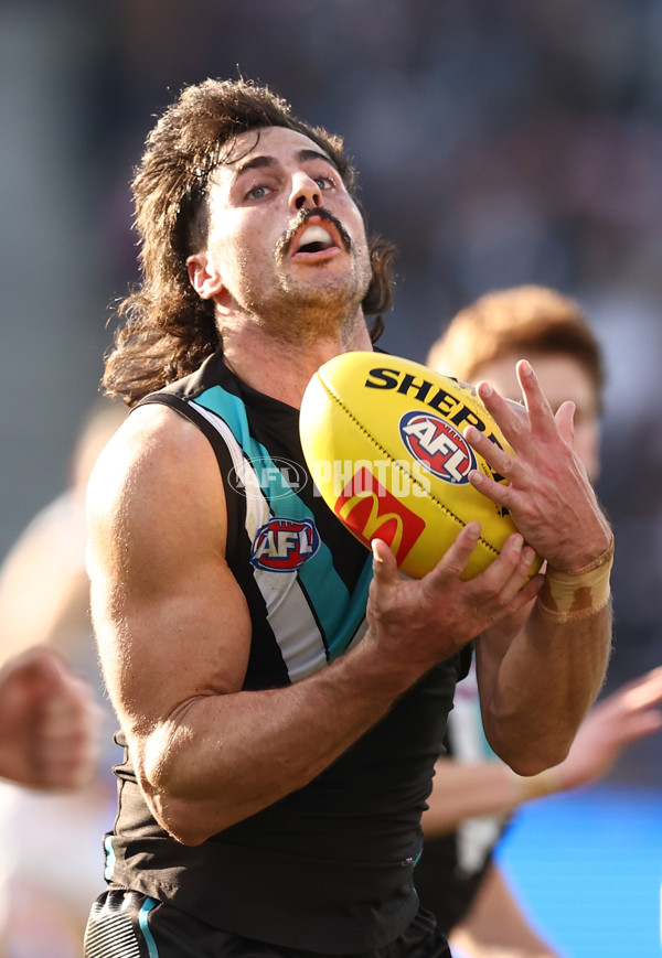 AFL 2025 Round 21 - Geelong v Port Adelaide - A-61042263