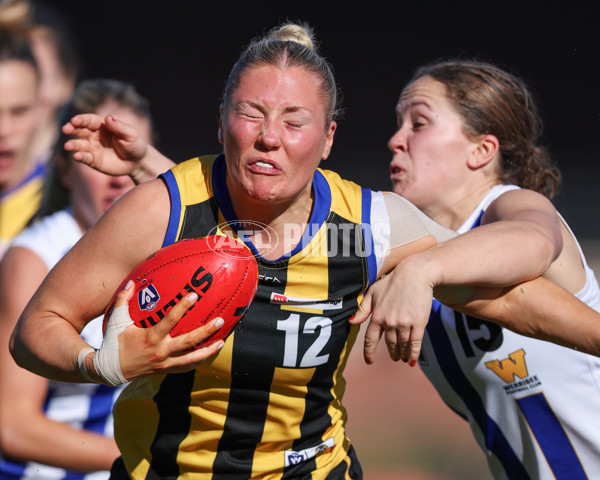 VFLW 2025 Round 14 - Sandringam v North Melbourne - A-61042271