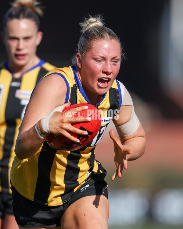 VFLW 2025 Round 14 - Sandringam v North Melbourne - A-61042273