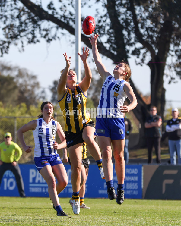 VFLW 2025 Round 14 - Sandringam v North Melbourne - A-61042275