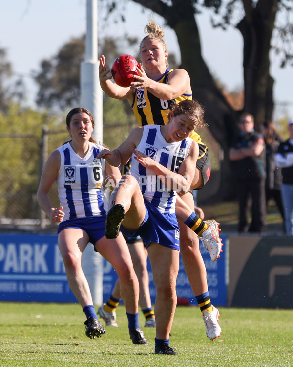 VFLW 2025 Round 14 - Sandringam v North Melbourne - A-61042277